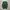 1990s Burberrys Small Logo Knit Vest Green Forest Luxury photo 5