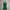 Minimalist Casual dress Wanita green photo 1