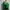 Minimalist Casual Dress Wanita Green