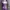 uniqlo purple striped lacey tank top photo 1