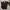 EDWIN Vintage Casual Casual pants Pria brown photo 1