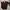 EDWIN Vintage Casual Casual Pants Pria Brown