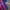 JERSEY BARCELONA FC 2015-2016 HOME SHIRT NIKE photo 4