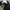 Jaket Puffer Adidas XL photo 4