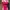 speedo endurance pink backless swimsuit photo 1
