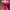 Speedo Endurance Pink Backless Swimsuit