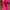 speedo endurance pink backless swimsuit photo 2
