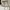 Hush Puppies Casual Handbag Wanita white photo 1