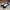 Adidas Casual Sneakers Pria white black photo 3