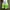 green polkadot summer micro skirt photo 1