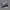 Sepatu Slip On Skechers Arch Fit 2.0 photo 1