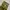 MILITARY PANTS photo 3