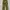 MILITARY PANTS photo 2