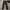 EDWIN Vintage Casual Casual pants Pria brown photo 2