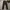 EDWIN Vintage Casual Casual pants Pria brown photo 3