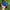 Vintage Hat Pria blue photo 4