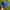 Vintage Hat Pria blue photo 1