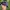 Vintage Hat Pria navy photo 4
