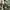 Longpants Gramicci  photo 5