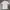 Brooks Brother Logo Poloshirt photo 3