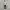 Under Armour Stripe Poloshirt photo 1