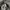 Carhartt Streetwear Dungaree Pria gray photo 4