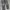 Carhartt Streetwear Dungaree Pria gray photo 3