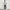 Burberry London Pocket Tee Made in Hongkong Authentic photo 1