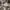 GAP Vintage Casual Casual pants Pria tan photo 8