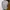 Fred Perry Made in England Combed Cotton Poloshirt photo 3