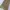 Lowrys Farm Japan Long Skirts photo 5