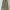 Lowrys Farm Japan Long Skirts