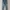 Golden Bear Blue Jeans photo 1