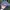 Sportswear Casual Hat Pria white gray photo 4