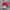 Y2K Leader L.O.G.A Distressed Army Cap photo 5