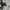 Adidas Rail Jam Cargo Multipocket Short Pants photo 6