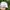 Sportswear Hat Pria white photo 7