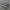 Vans Knu