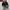 vans sk8 low contras photo 4