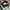 vans sk8 low photo 6