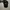 Marshall major V headphone photo 1
