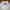 U.S. POLO ASSN SLIM FIT WHITE BUTTON DOWN LONG SLEEVE OXFORD photo 4
