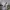 Paris Saint-Germain F.C. 2024-25 Away Shirt photo 2