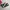 Converse Streetwear Casual Sneakers Wanita white black photo 3