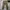 Bobson Vintage Casual Casual Pants Pria Tan