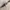 Jam Tangan Vintage Disney Mickey Mouse  photo 7