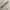 Jam Tangan Vintage Disney Mickey Mouse  photo 5