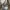 Hermes Birkin bag croco grey  photo 1