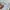 Project M linen blended photo 3