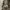 Korean Army ACU Ripstop Jacket photo 2